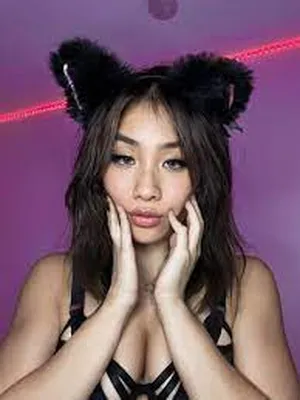 kittynobi