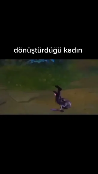ldrzelall - #4384449